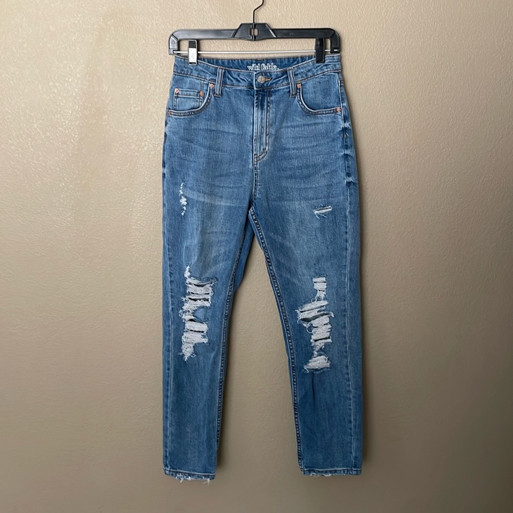 Wild Fable Jeans
